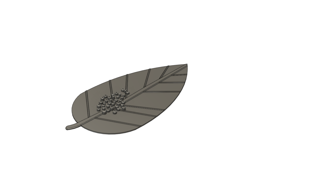 Butterfly Eggs on Leaf 3D Model